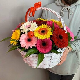 Корзина "Яркие герберы"