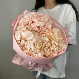 Букет из 3 пудровых гортензий