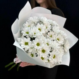 Букет из 5 кустовых хризантем сорта Бакарди