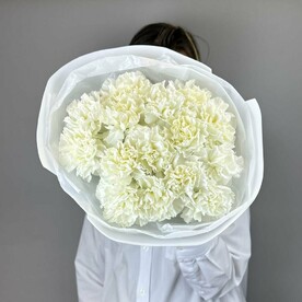 Монобукет из 17 белоснежных диантусов