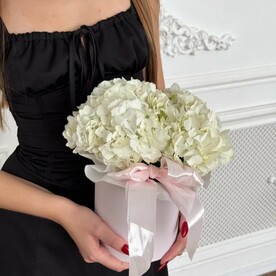 Белая гортензия в коробке 🤍