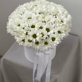 Коробочка из ромашковой кустовой хризантемы