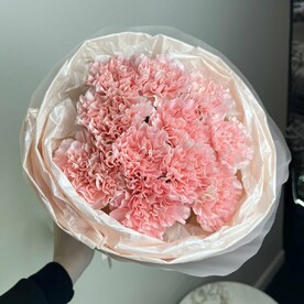 Воздушные розовые диантусы в круглой упаковке