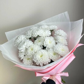 Кустовая хризантема нежной розовой упаковке