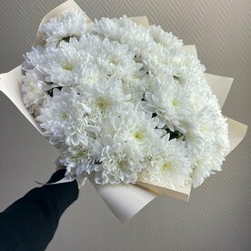 9 пышных белых кустовых хризантем в упаковке