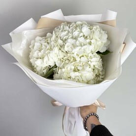 Три белые гортензии в стильной упаковке