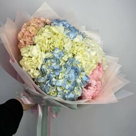 9 гортензий микс в упаковке