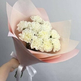 11 белых диантусов в упаковке