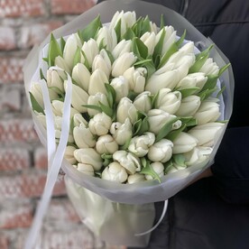 Тюльпан, Пленка матовая, Тишью