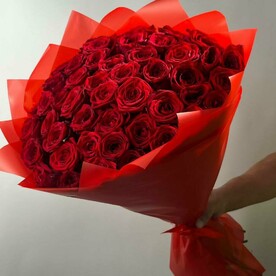 Розы красные 51шт 70см