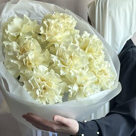 9 французских белых роз