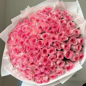 101 розовая роза