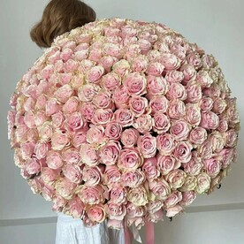 Розы нежные 135 шт