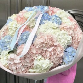 Гортензии 27 шт