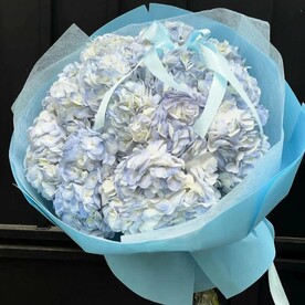 Голубые гортензии 9 шт