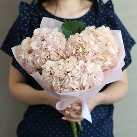 Букет из 3 нежных гортензий