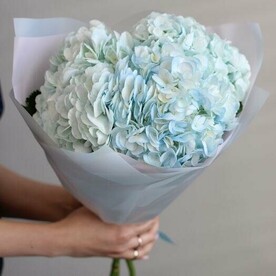 Букет из 3 голубых гортензий