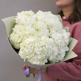 Пышный букет из 5 белых гортензий