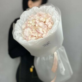 Гортензия в дизайнерском оформлении