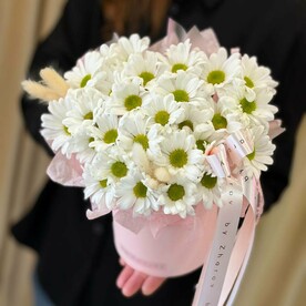 Хризантема Ромашка в розовом цилиндре с лагурусом