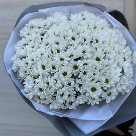 Букет 21 белая кустовая хризантема