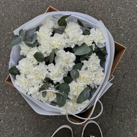 Букет из 25 белых диантусов и эвкалипта