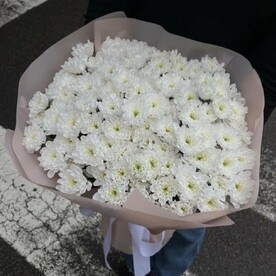Монобукет из 17 белых хризантем