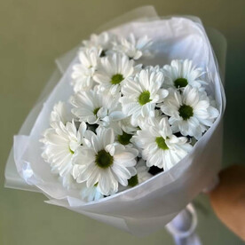 Букет комплимент из 3 кустовых хризантем бакарди