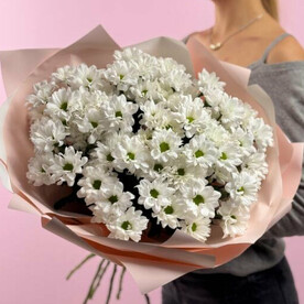 9 кустовых хризантем