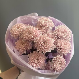 Монобукет темно фиолетовой хризантемы