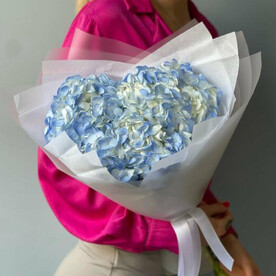 Гортензии 3 «Голубое облачко»