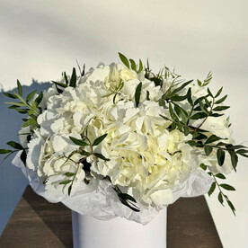 Гортензия в коробочке