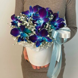 Шляпная коробка с белой гипсофилой и синим дендробиумом