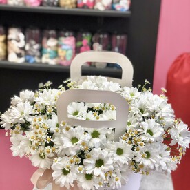 Сумочка с ромашками