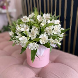 Коробка из белой альстромерии