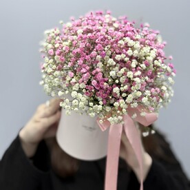 Коробка с розовой гипсофилой