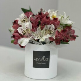 Коробка альстромерии