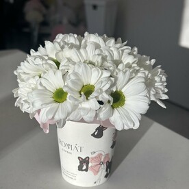 Стаканчик с ромашками