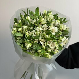 25 белых альстромерии