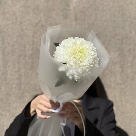 Одноголовая хризантема в упаковке