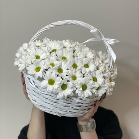 Корзина из ромашковых хризантем