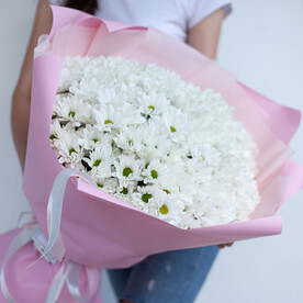 Хризантемы ромашки 🫶 "Нежнее нежного" | Кустовая хризантема