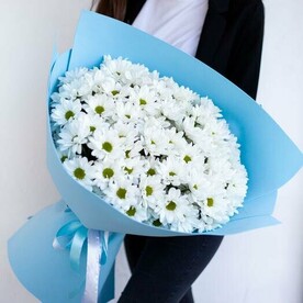 Букет Гигант из кустовых хризантем | Кустовая хризантема | Хризантемы в оформлении