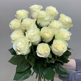 Монобукет из 15 белых роз "Эквадор"