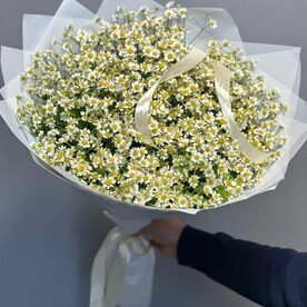 Букет из 25 ромашек