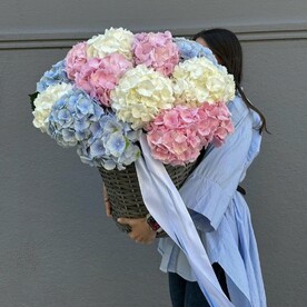 Большая корзина с гортензиями