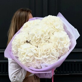 Букет из 7 белых гортензий