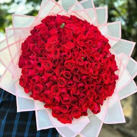 Букет из 151 красной розы