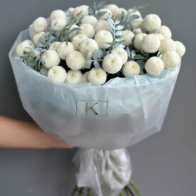 Монобукет с хризантемой Ньютон и благородной зеленью