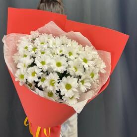 Летние ромашки